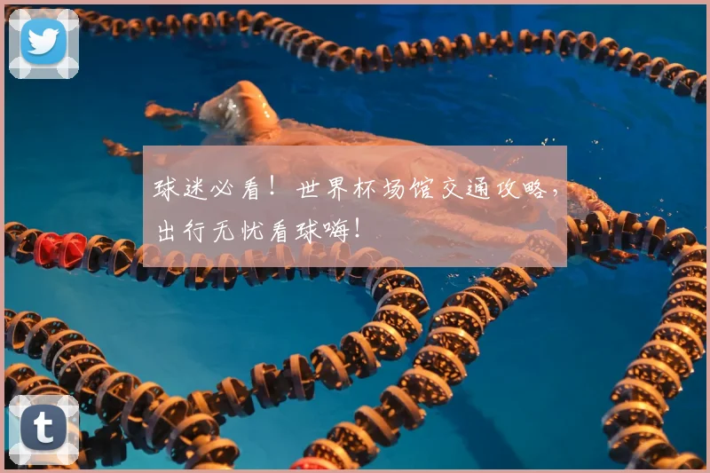 球迷必看！世界杯场馆交通攻略，出行无忧看球嗨！